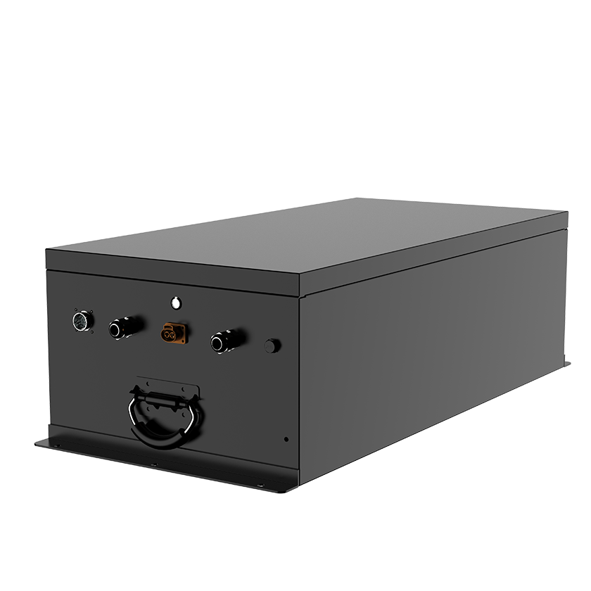 L series 48V200Ah EV battery